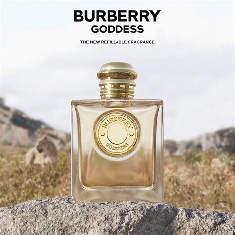 burberry hoddess|Burberry goddess for men.